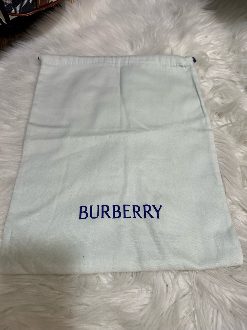 Burberry Light Blue Dust Bag with Navy Logo 11x14